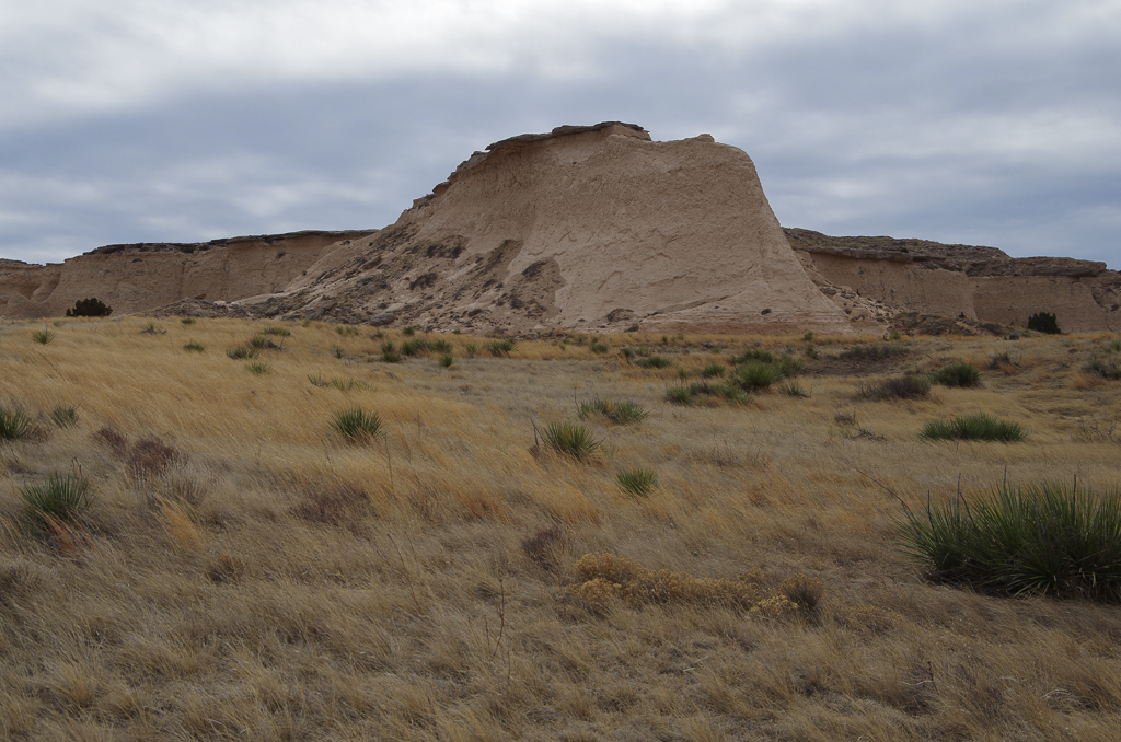 The angle of the grass and the bluffs convey the direction of the incessant winds